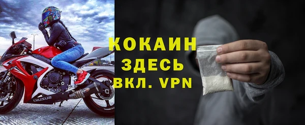 индика Волосово