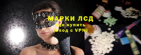 индика Волосово