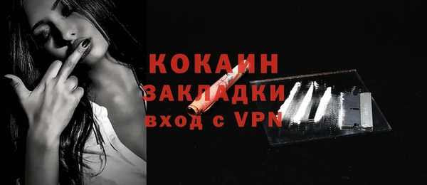 индика Волосово