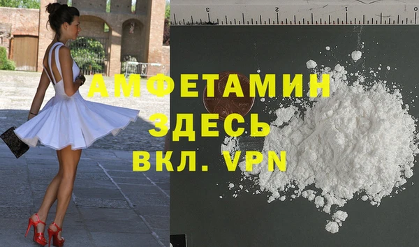 индика Волосово
