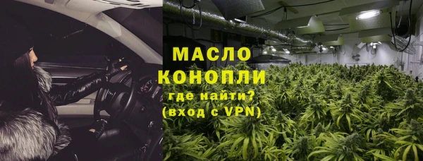 индика Волосово