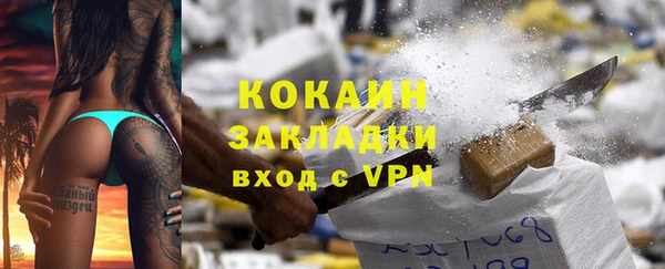 индика Волосово