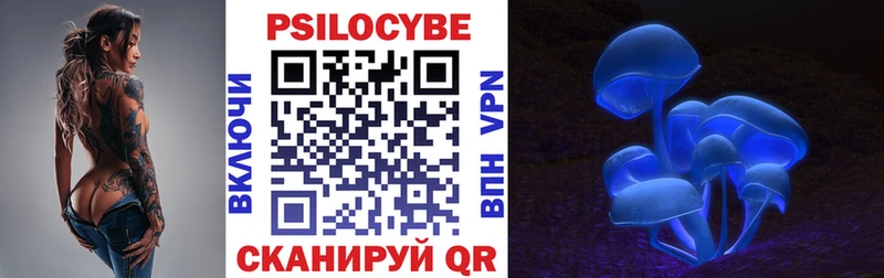 Псилоцибиновые грибы Psilocybine cubensis  цены наркотик  Карасук 